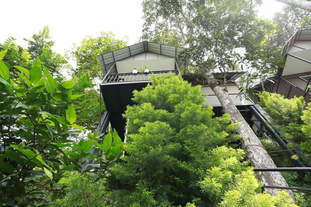 Moselberg Riverside Cottages Munnar Zewnętrze zdjęcie
