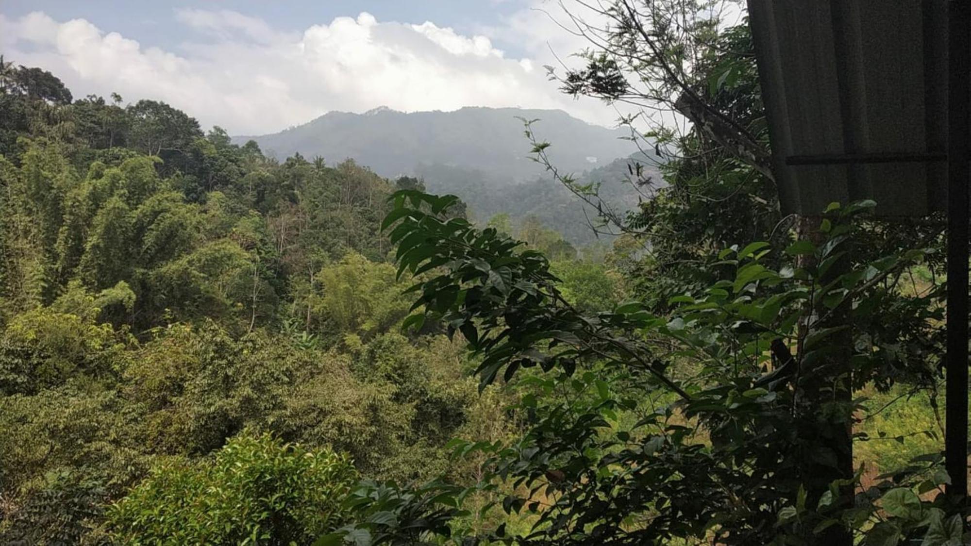 Moselberg Riverside Cottages Munnar Pokój zdjęcie