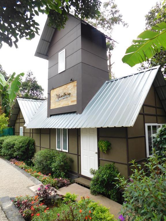 Moselberg Riverside Cottages Munnar Zewnętrze zdjęcie
