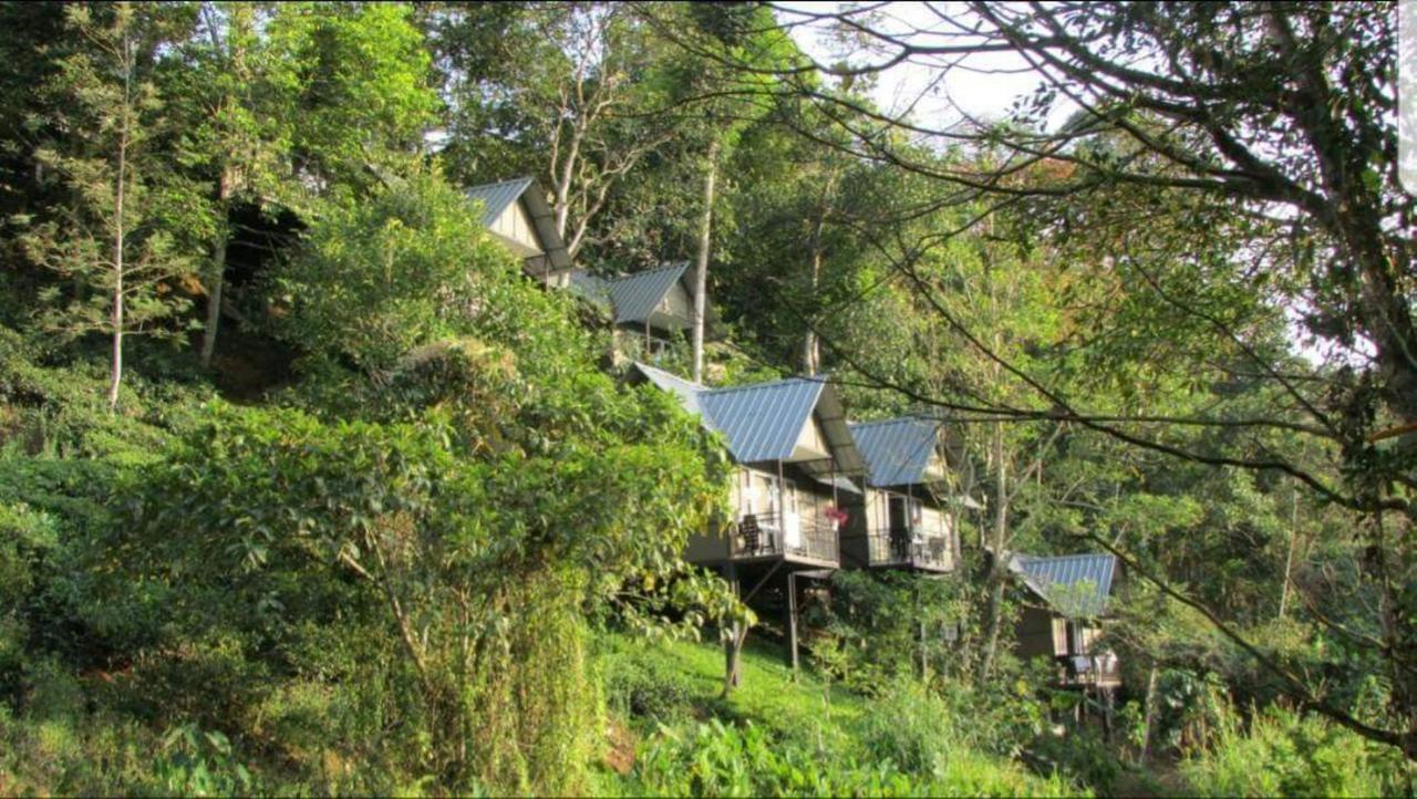 Moselberg Riverside Cottages Munnar Zewnętrze zdjęcie