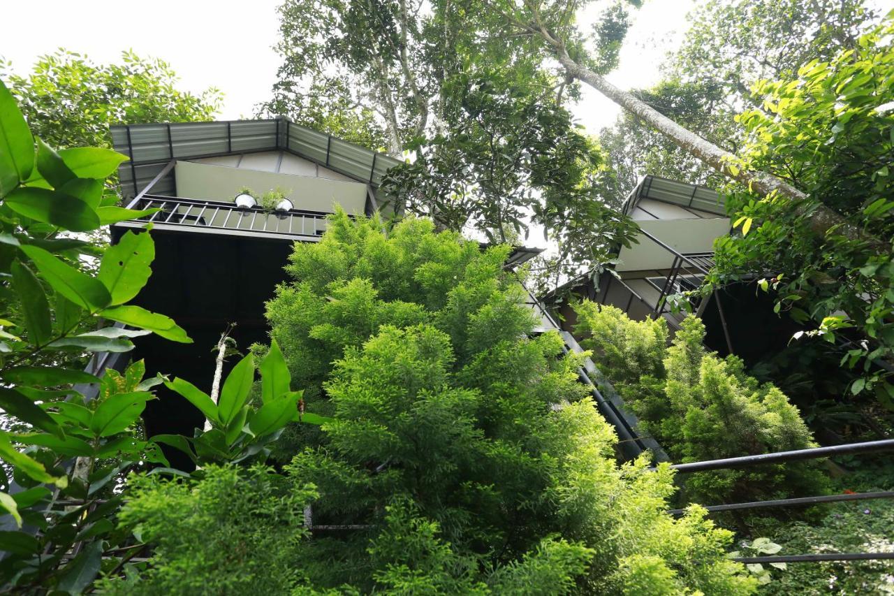 Moselberg Riverside Cottages Munnar Zewnętrze zdjęcie