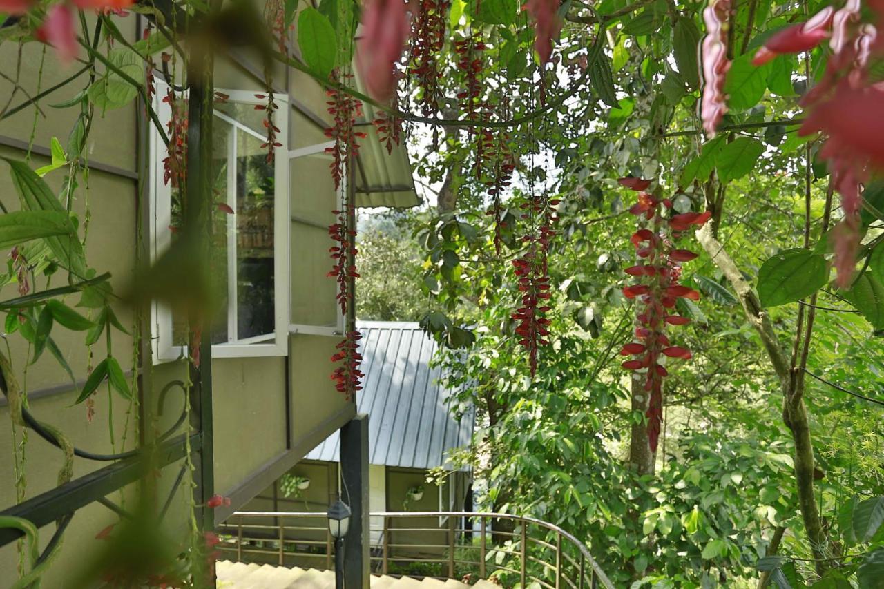 Moselberg Riverside Cottages Munnar Zewnętrze zdjęcie
